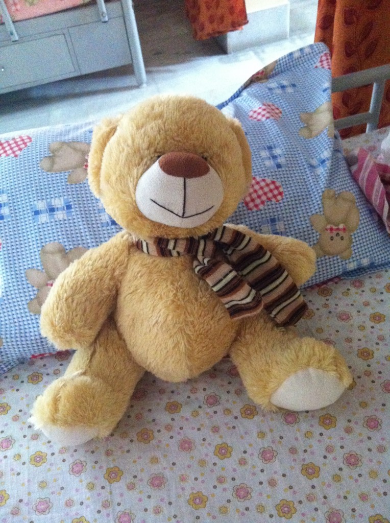 Teddy1